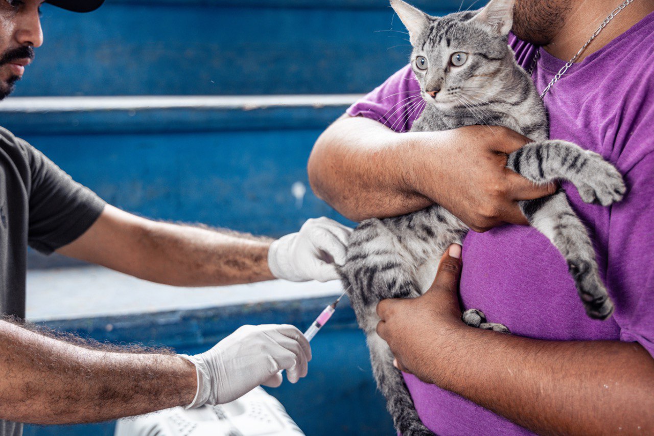 Sigue con éxito campaña de vacunación antirrábica en Solidaridad – H. Ayuntamiento de Solidaridad