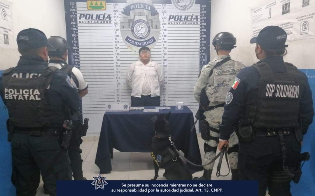 Binomios caninos refuerzan la seguridad en Solidaridad – H. Ayuntamiento de Solidaridad