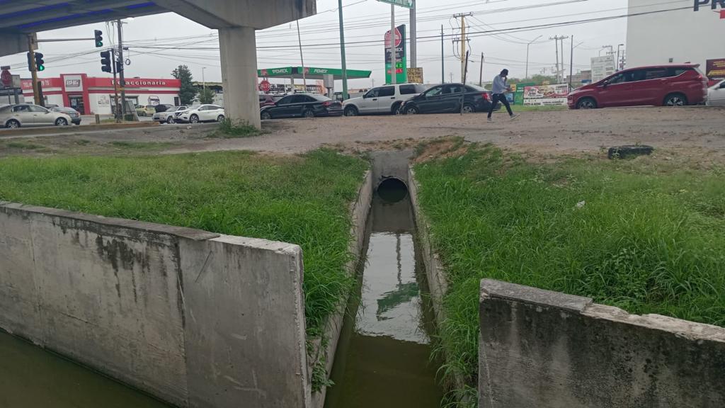 Trabaja Gobierno de Reynosa en mantenimiento y limpieza de avenidas – Administración Municipal Reynosa 2021-2024