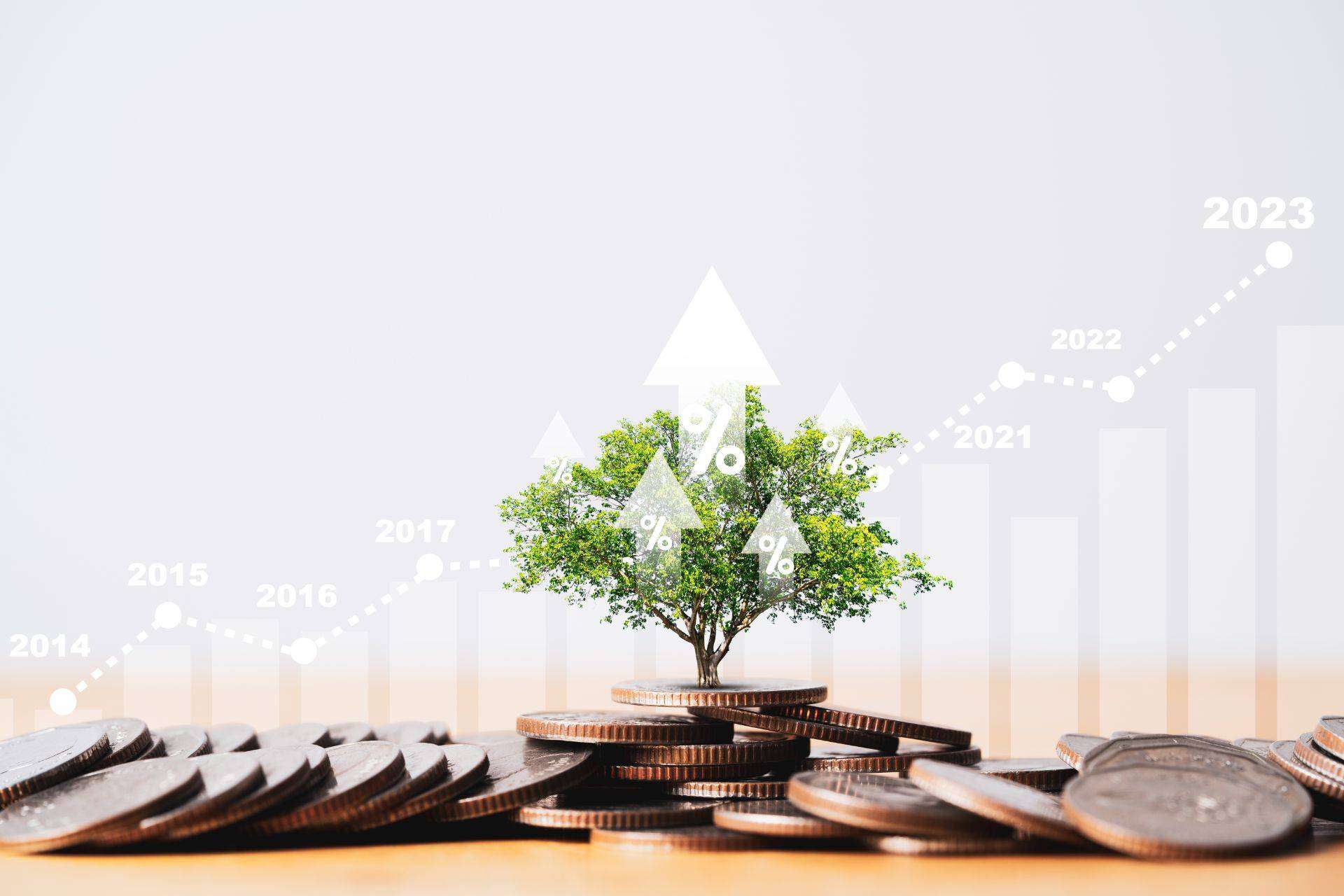 VIP Class Investments Lanza Nuevos Planes de Inversión para Asegurar el Futuro Financiero de las Nuevas Generaciones
