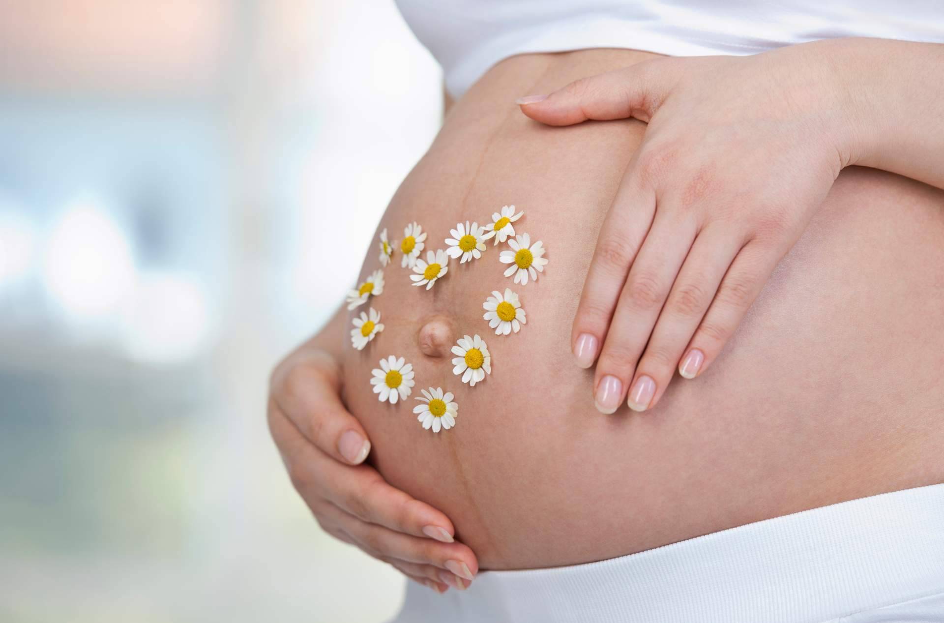 Métodos para ser madre en casos de infertilidad; Alternativas a la maternidad tradicional
