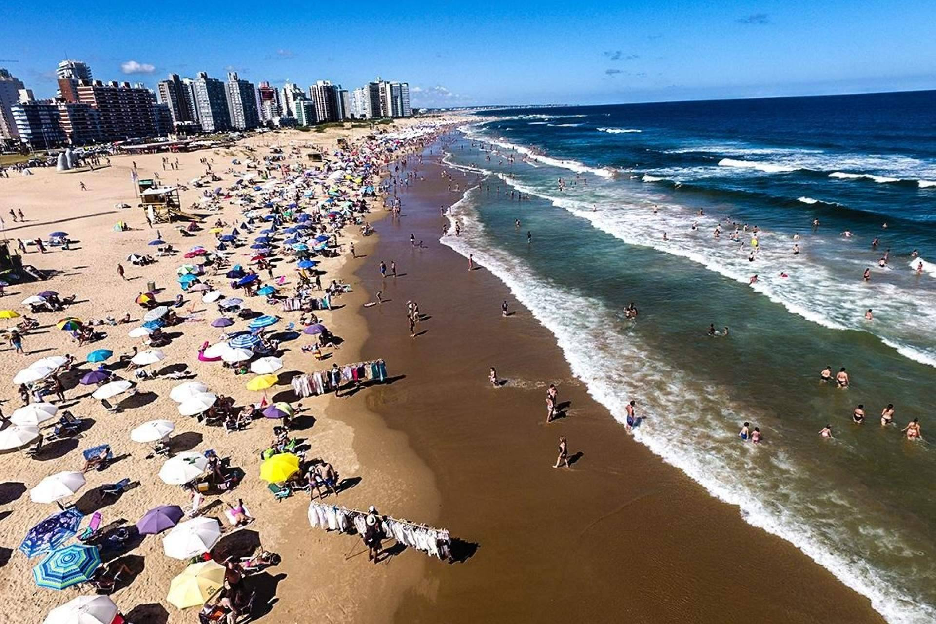 Luxury Punta; excelencia y confianza en el mercado inmobiliario de Punta del Este
